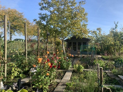 hofjestuin