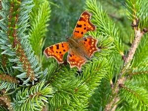 img-20240913-wa0000