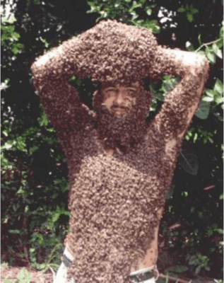 my-garden-of-a-thousand-bees