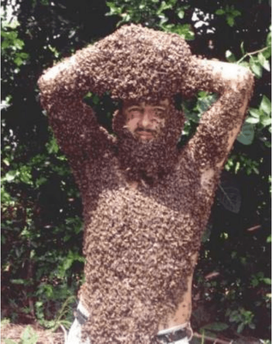 my-garden-of-a-thousand-bees