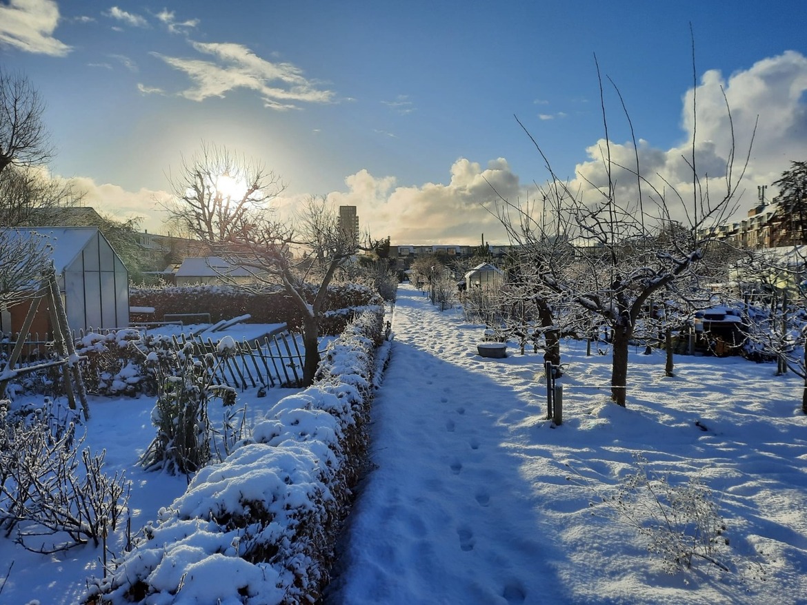 sneeuwfoto-lijndraaier