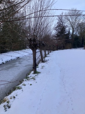 sneeuwfoto-waterkant